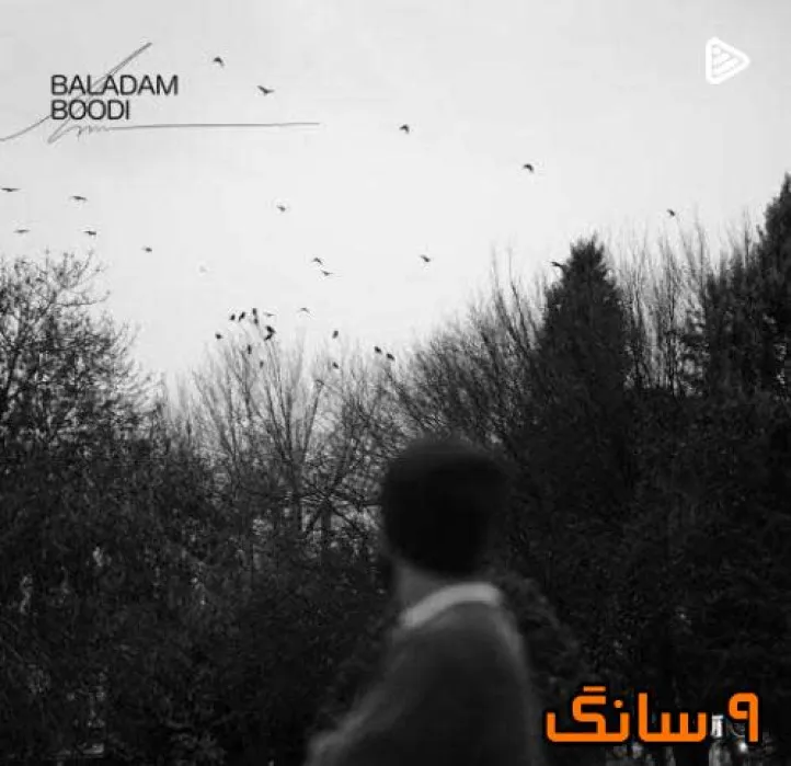دانلود آهنگ حامیم بلدم بودی